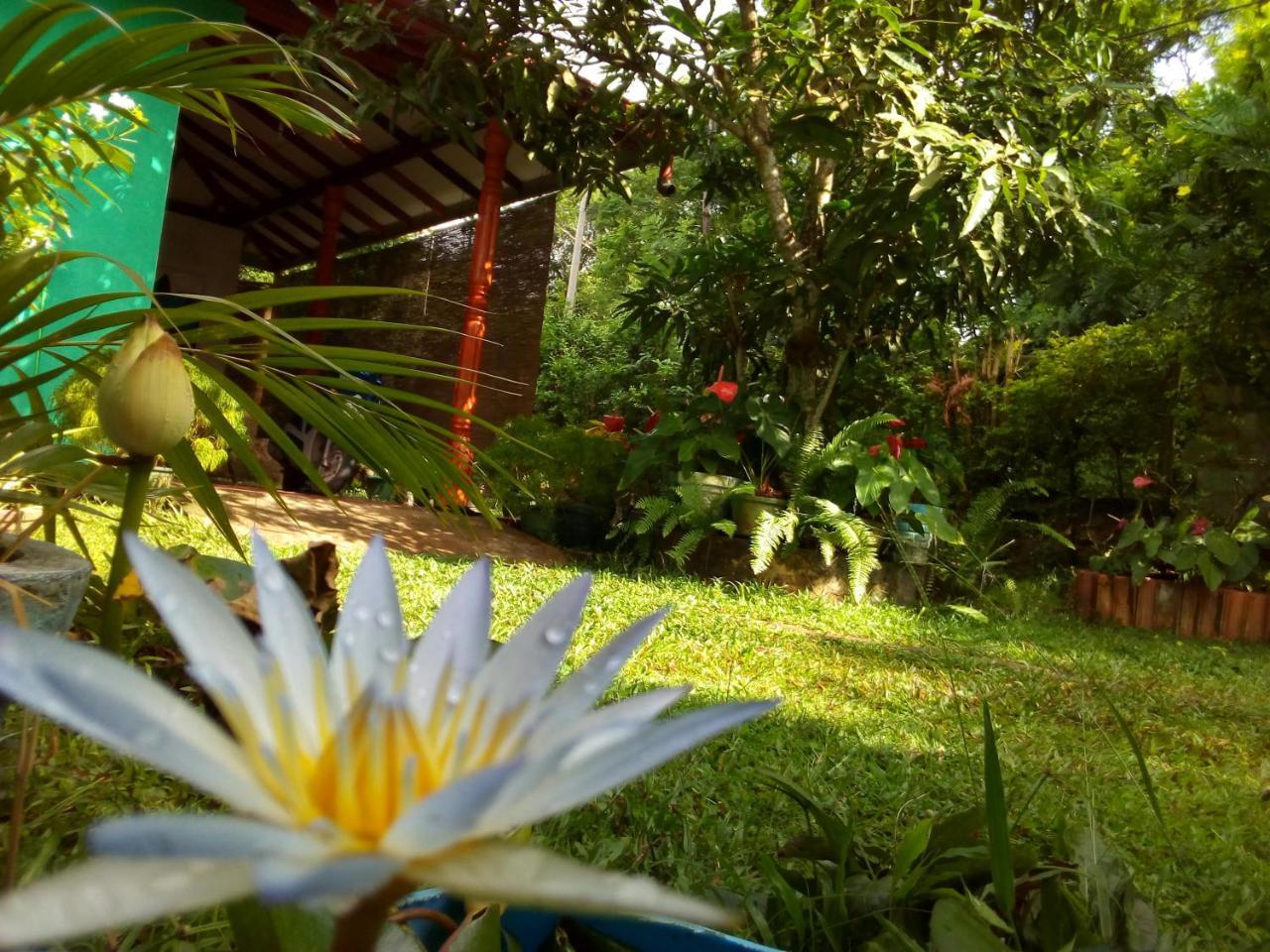Nethmi Homestay & Restaurant 탕갈레 외부 사진